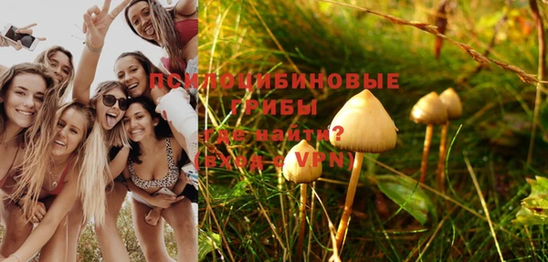 прущие крисы Вяземский