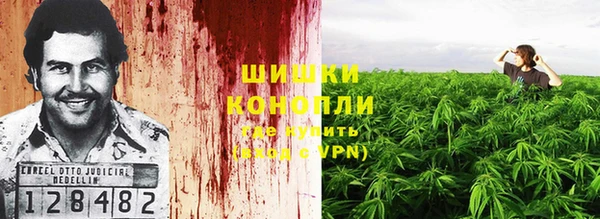 mdma Горнозаводск