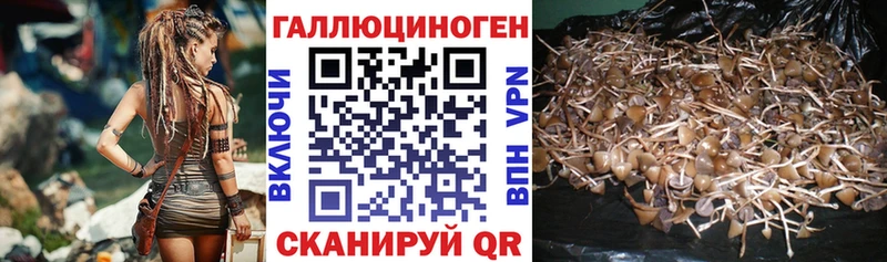 Галлюциногенные грибы прущие грибы  Купить где  Саянск 